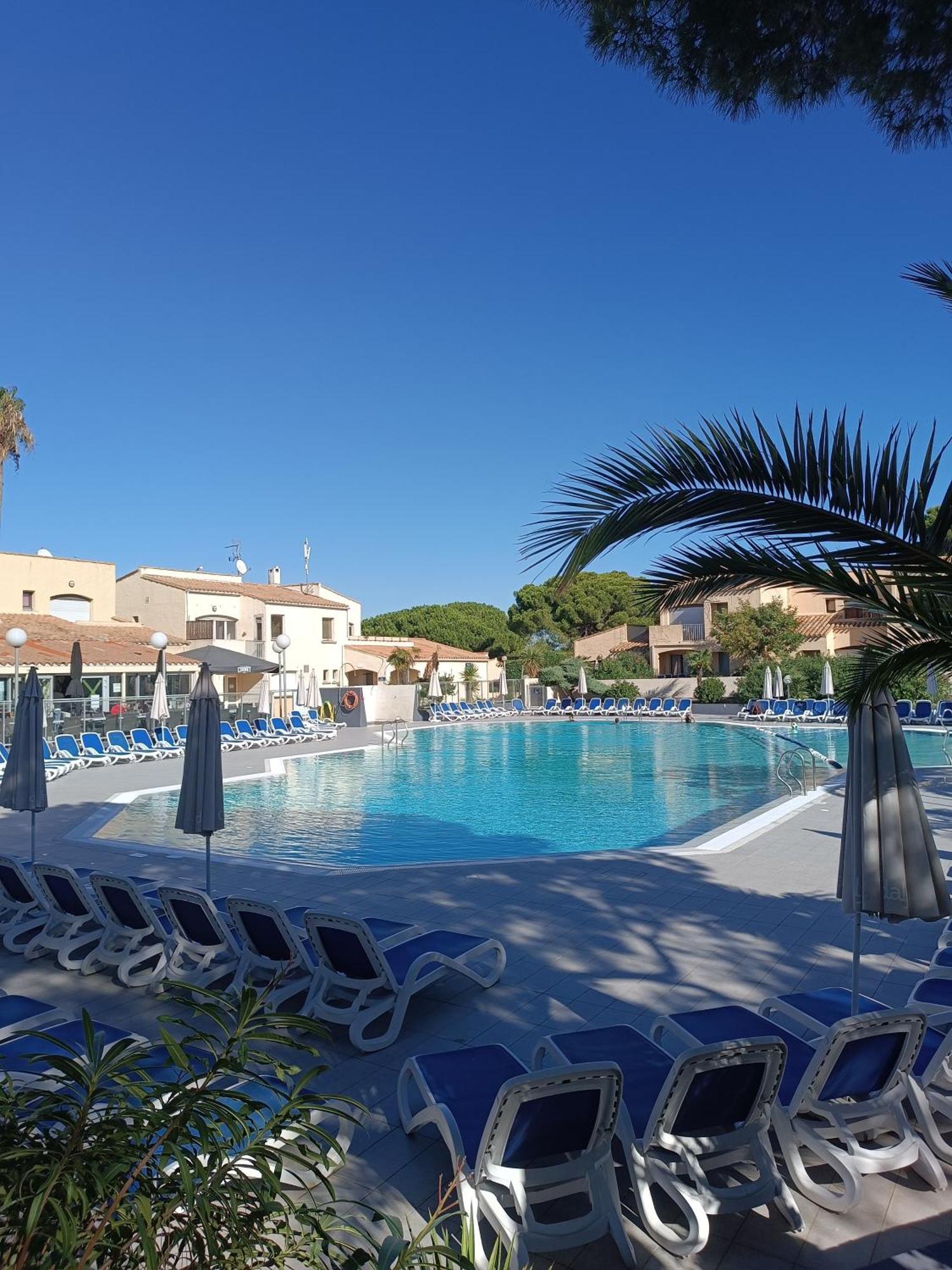Studio Renove Dans Residence De Vacances Avec Grande Piscine Chauffee, Parking Et Terrasse アグド エクステリア 写真